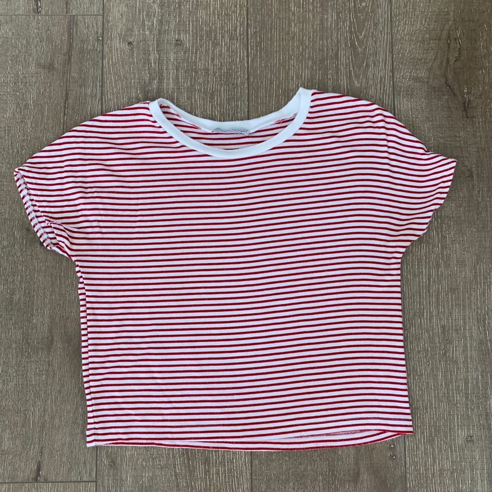 Zara Crop Top T shirt